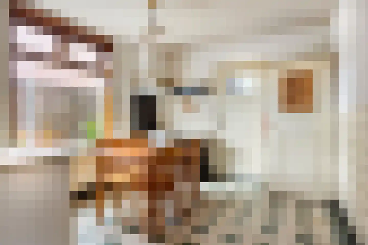 Draaiboom 14 Lage Mierde thumbnail 7
