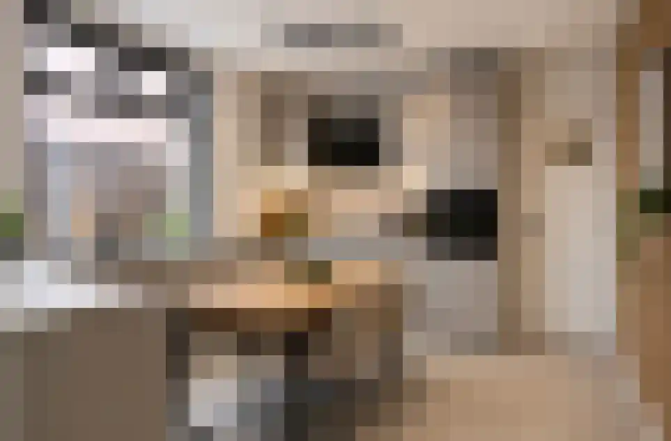 Draaiboom 14 Lage Mierde thumbnail 8
