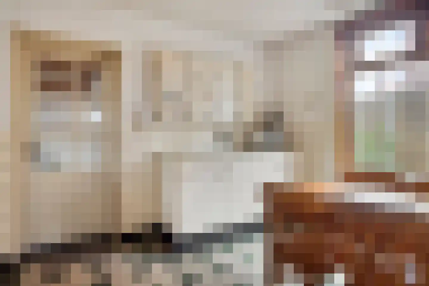 Draaiboom 14 Lage Mierde thumbnail 9