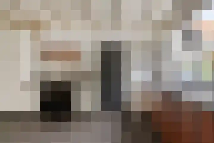 Draaiboom 15 Lage Mierde thumbnail 10