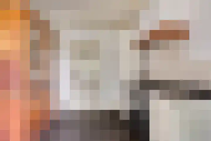 Draaiboom 15 Lage Mierde thumbnail 11