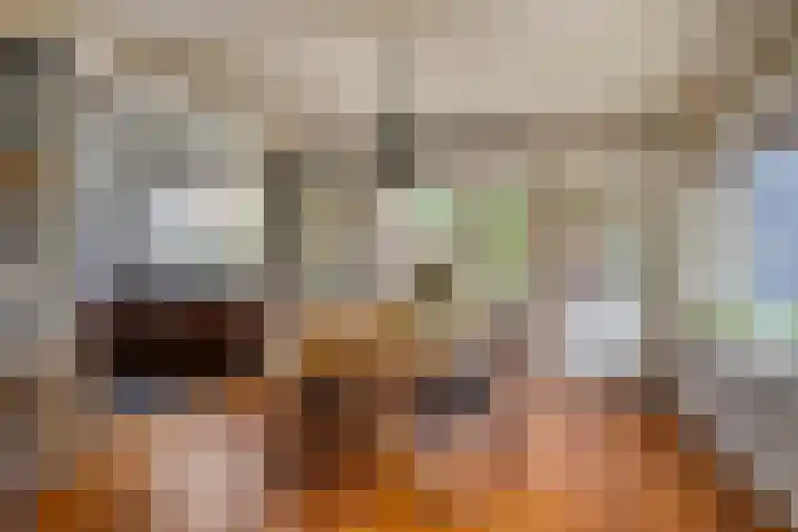 Draaiboom 15 Lage Mierde thumbnail 13