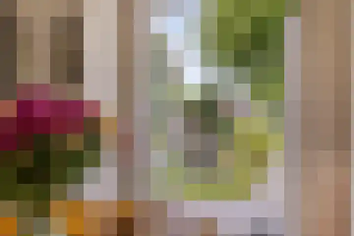 Draaiboom 15 Lage Mierde thumbnail 14