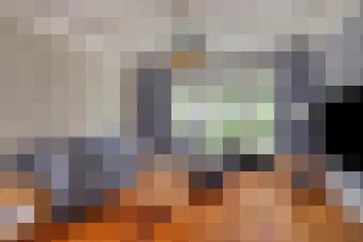 Draaiboom 15 Lage Mierde thumbnail 15