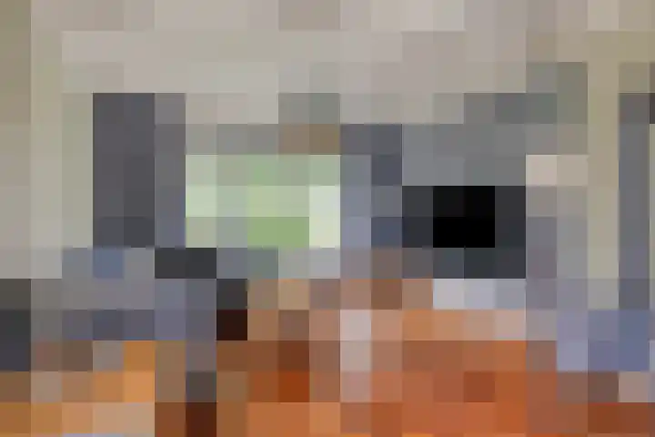 Draaiboom 15 Lage Mierde thumbnail 16