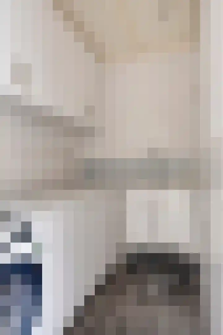 Draaiboom 15 Lage Mierde thumbnail 17