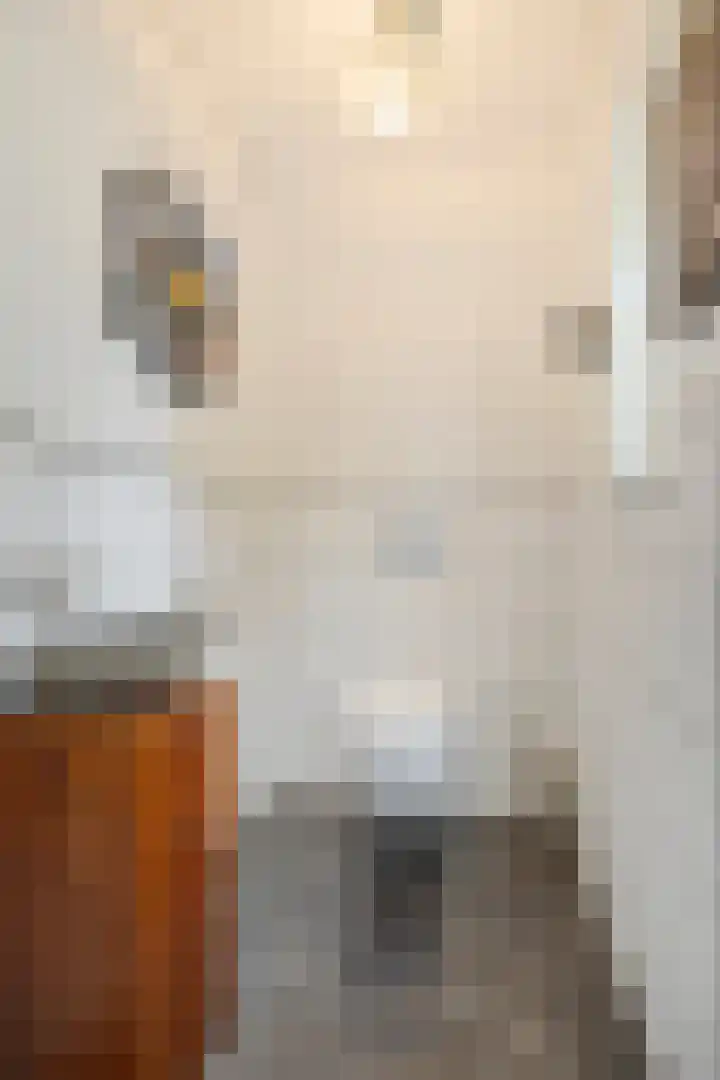 Draaiboom 15 Lage Mierde thumbnail 18