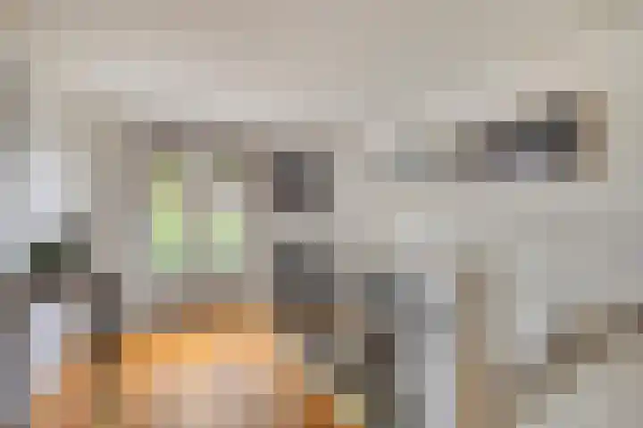 Draaiboom 15 Lage Mierde thumbnail 19