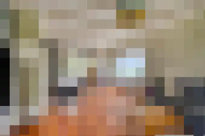 Draaiboom 15 Lage Mierde foto 2