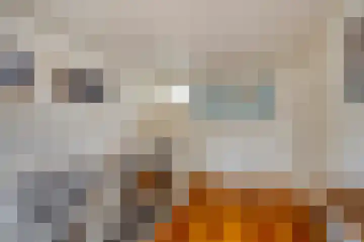 Draaiboom 15 Lage Mierde thumbnail 20