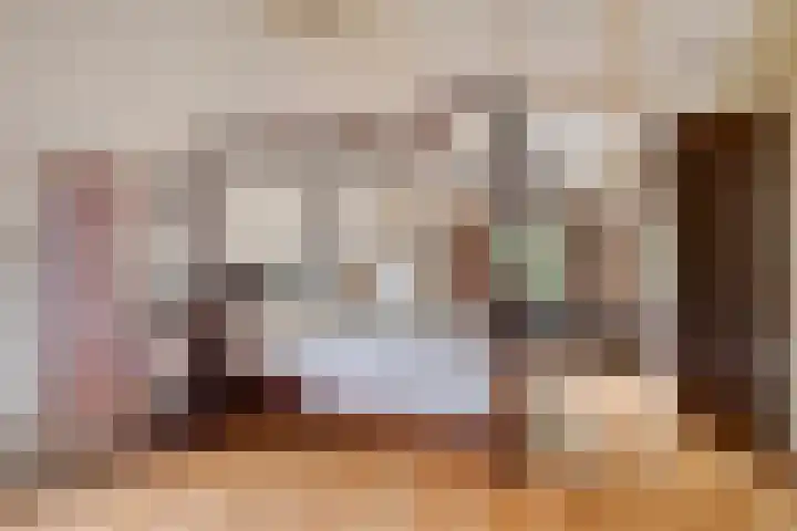Draaiboom 15 Lage Mierde thumbnail 21
