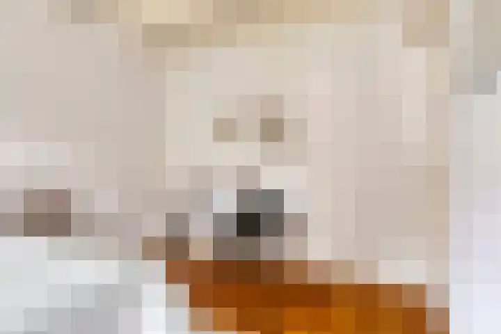 Draaiboom 15 Lage Mierde thumbnail 24