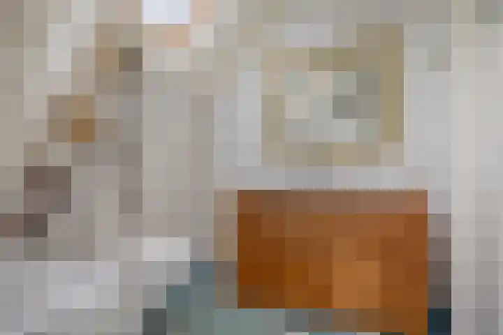 Draaiboom 15 Lage Mierde thumbnail 25