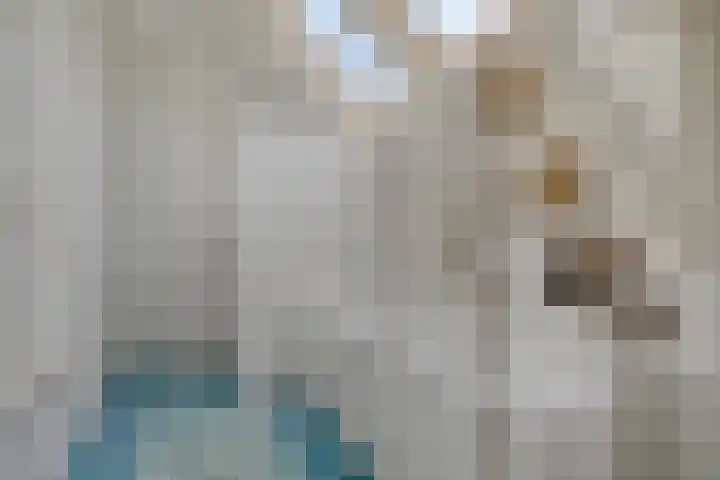Draaiboom 15 Lage Mierde thumbnail 26