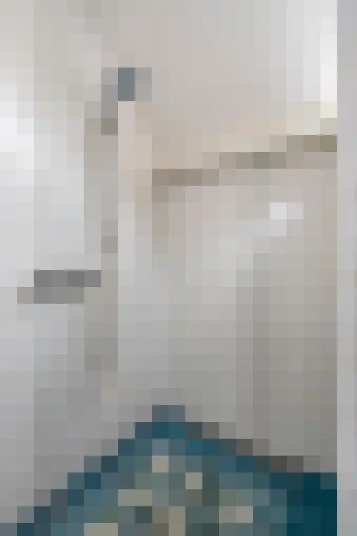 Draaiboom 15 Lage Mierde thumbnail 28