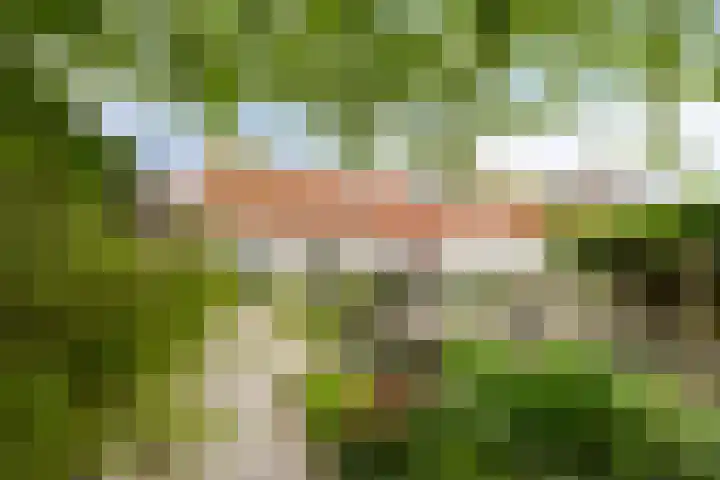 Draaiboom 15 Lage Mierde foto 3