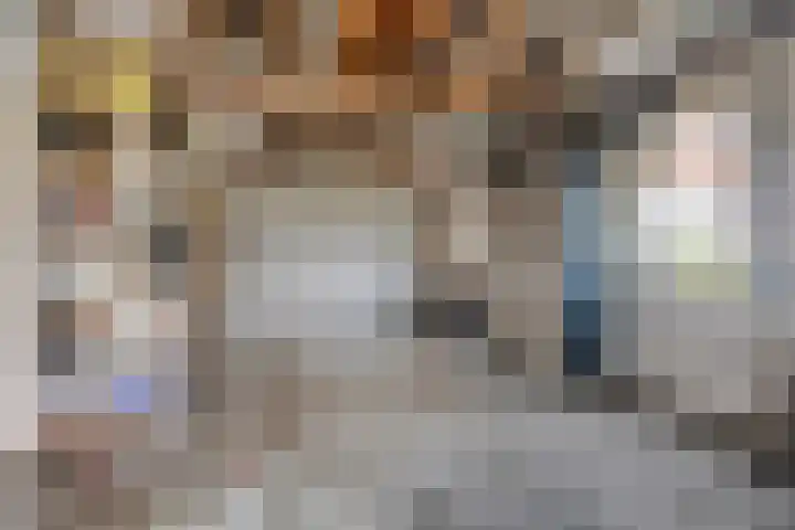 Draaiboom 15 Lage Mierde thumbnail 30
