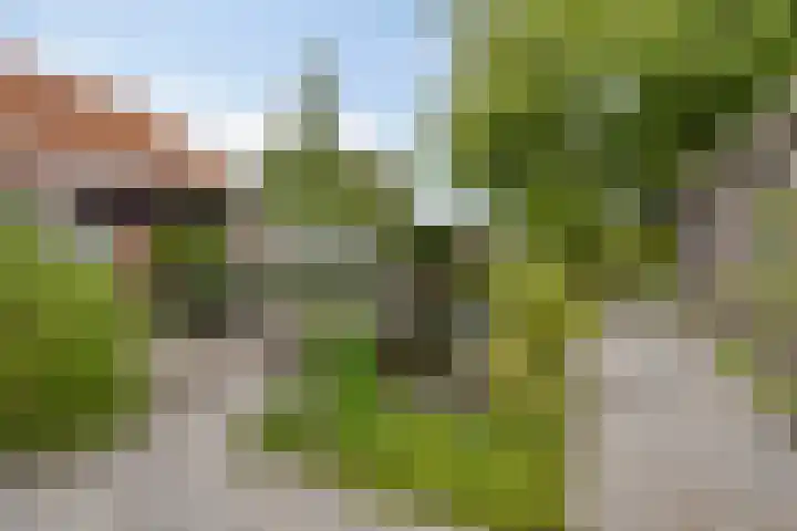 Draaiboom 15 Lage Mierde thumbnail 31