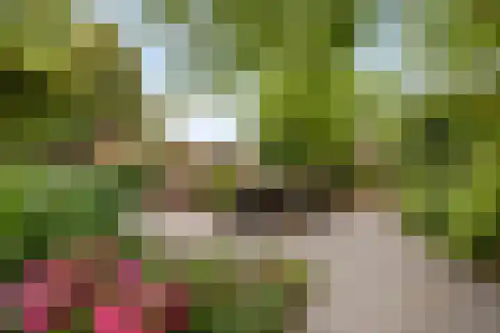 Draaiboom 15 Lage Mierde thumbnail 34