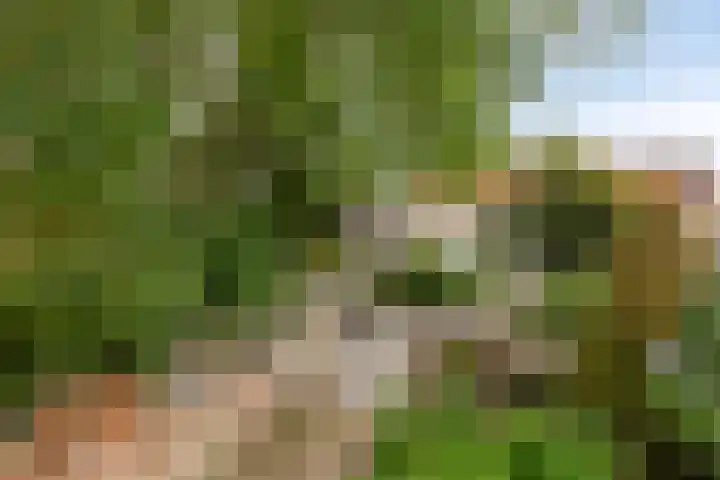 Draaiboom 15 Lage Mierde thumbnail 36