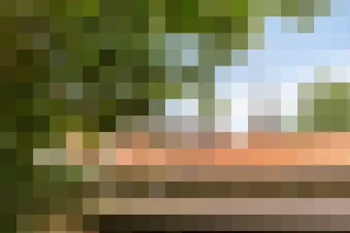 Draaiboom 15 Lage Mierde thumbnail 38