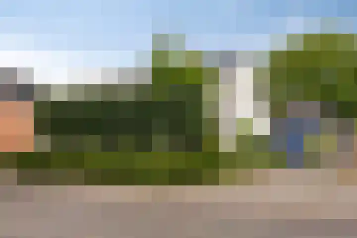 Draaiboom 15 Lage Mierde thumbnail 39