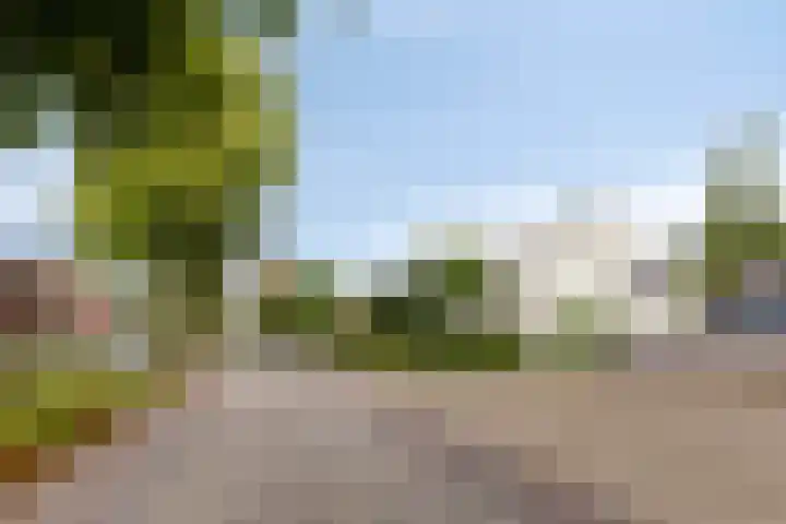 Draaiboom 15 Lage Mierde thumbnail 4
