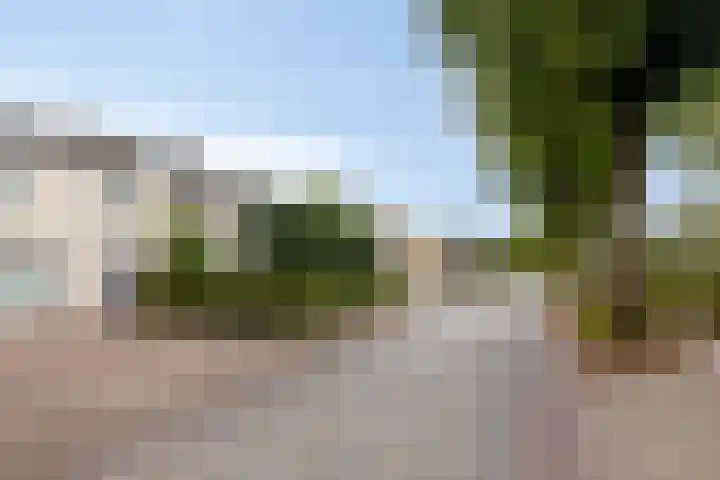 Draaiboom 15 Lage Mierde thumbnail 5