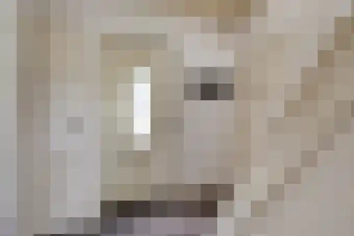 Draaiboom 15 Lage Mierde thumbnail 6
