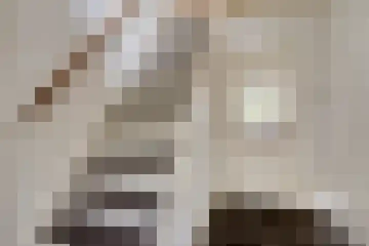 Draaiboom 15 Lage Mierde thumbnail 7