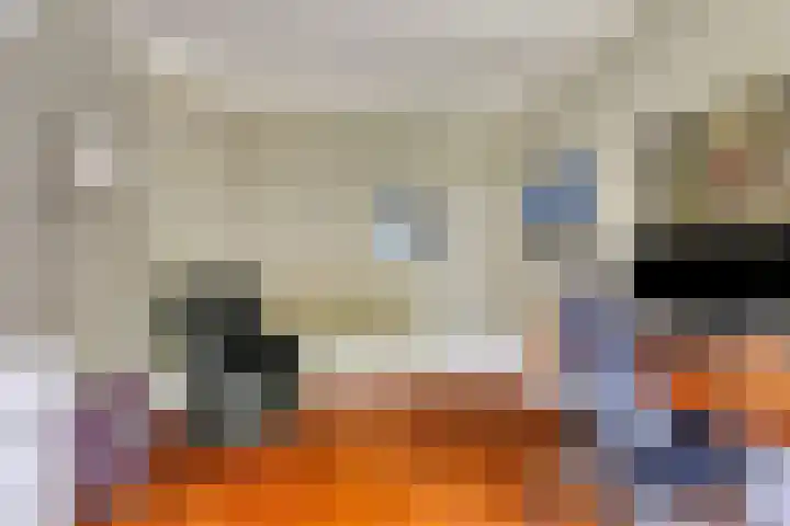 Draaiboom 15 Lage Mierde thumbnail 8