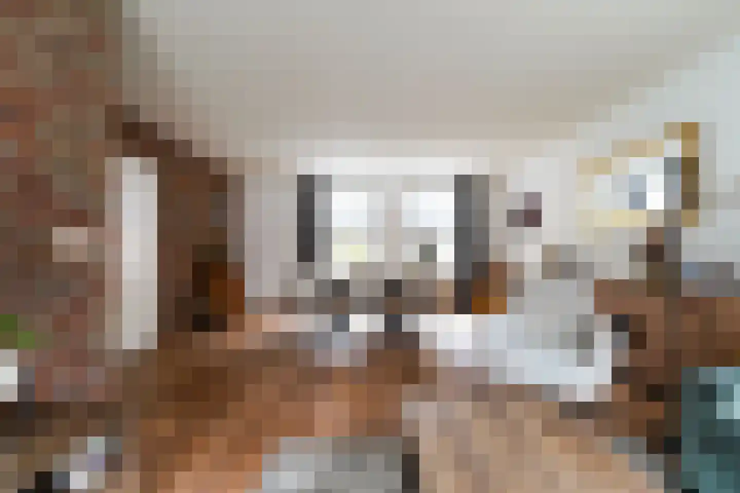 Draaiboom 2 Liempde thumbnail 12