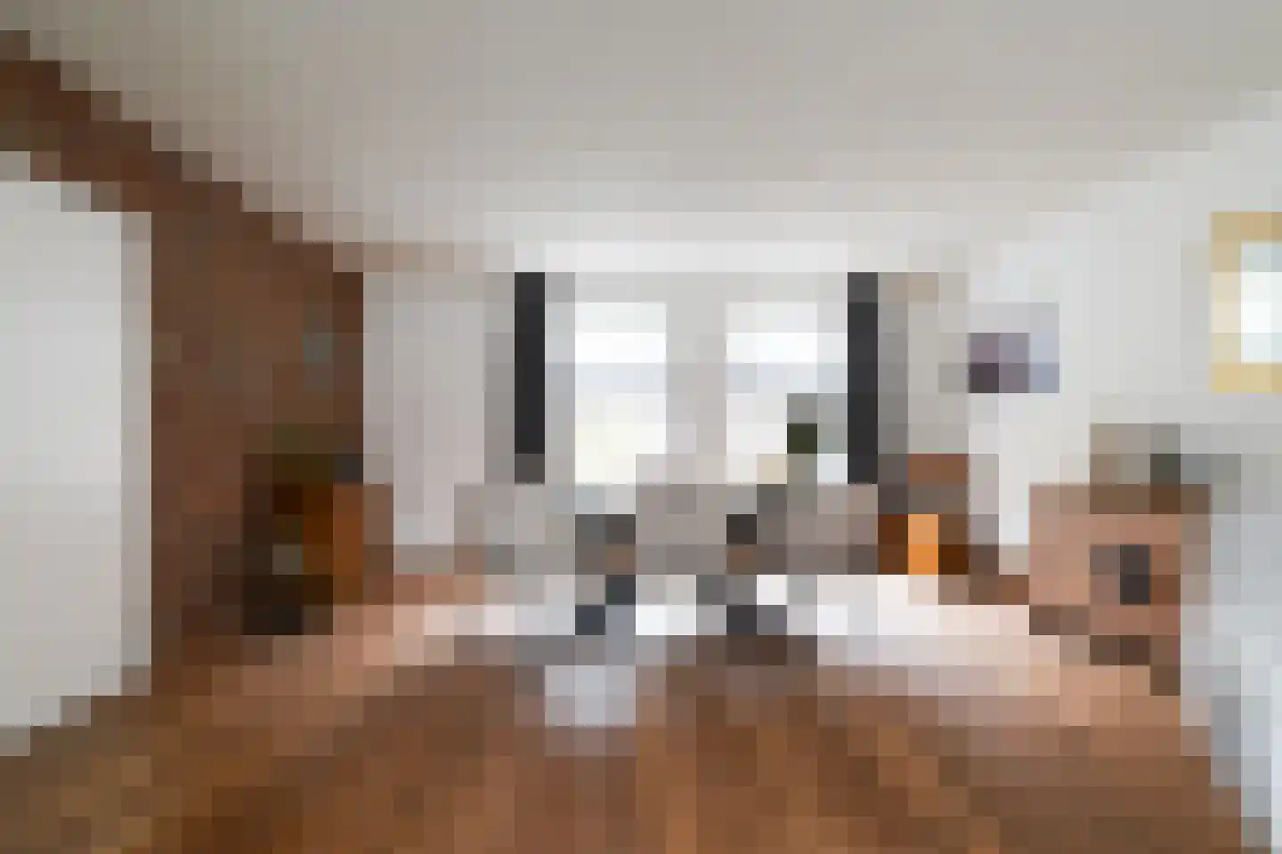 Draaiboom 2 Liempde thumbnail 13