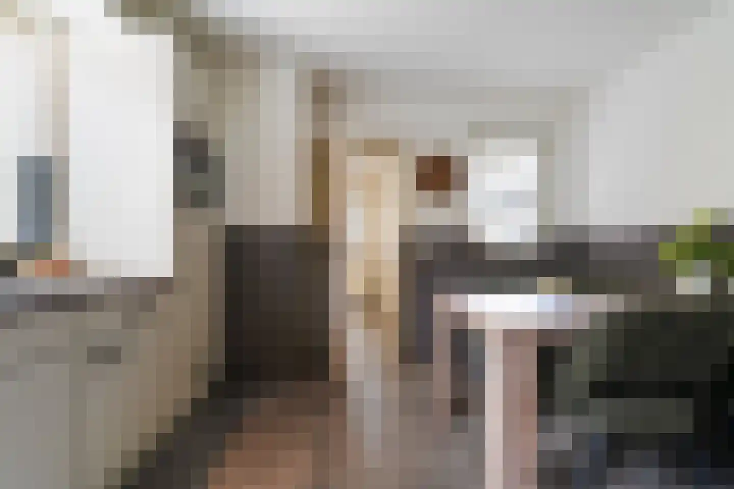 Draaiboom 2 Liempde thumbnail 18