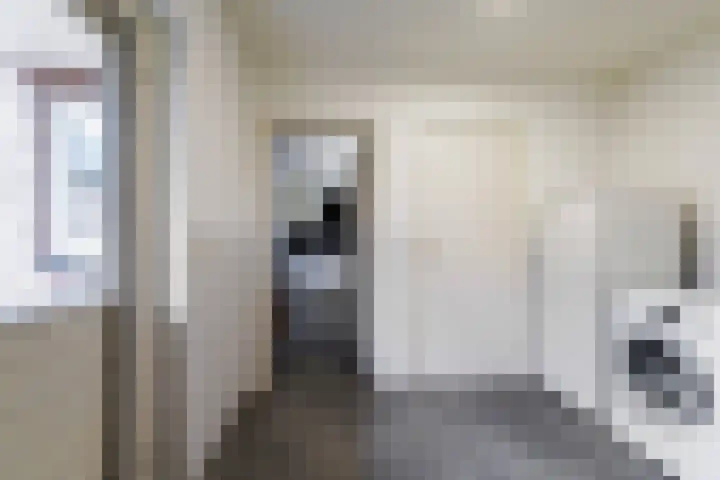 Draaiboom 2 Liempde thumbnail 23