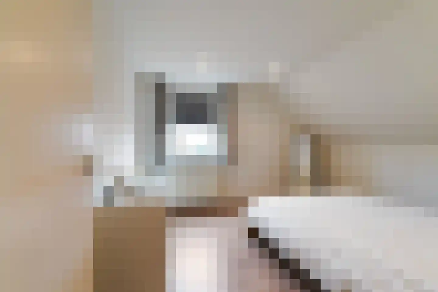 Draaiboom 2 Liempde thumbnail 31