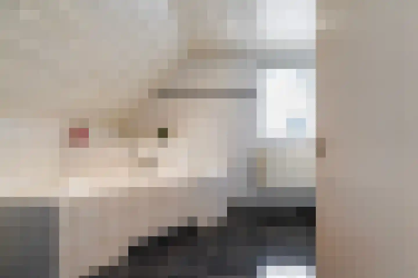 Draaiboom 2 Liempde thumbnail 36