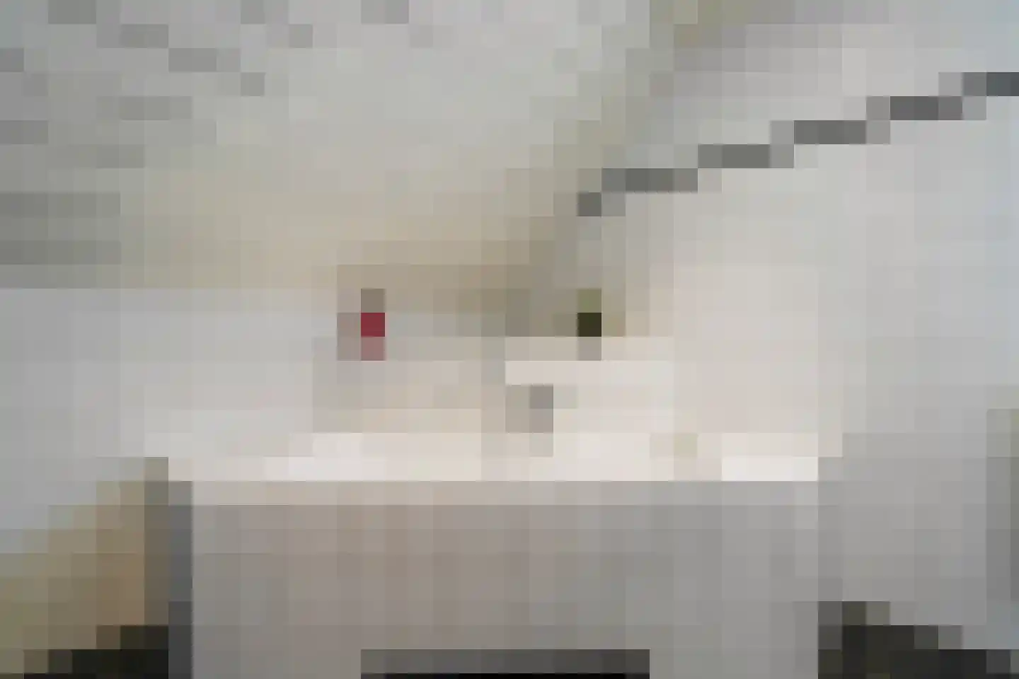 Draaiboom 2 Liempde thumbnail 37
