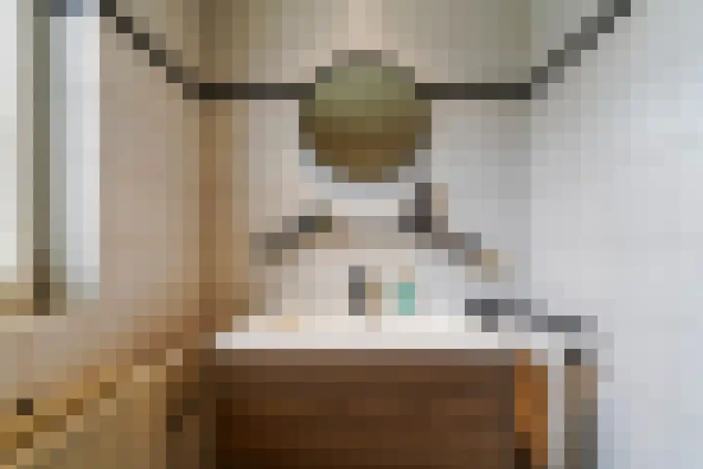 Draaiboom 2 Liempde thumbnail 39