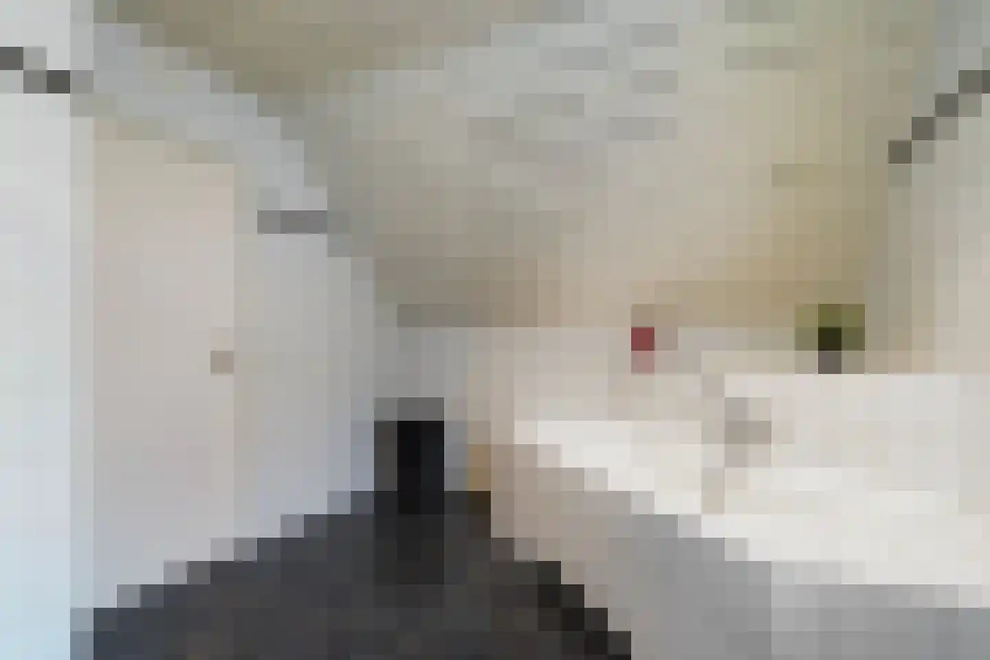 Draaiboom 2 Liempde thumbnail 40