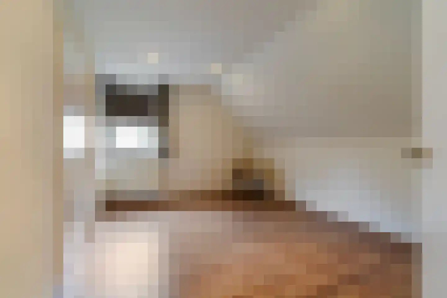 Draaiboom 2 Liempde thumbnail 42