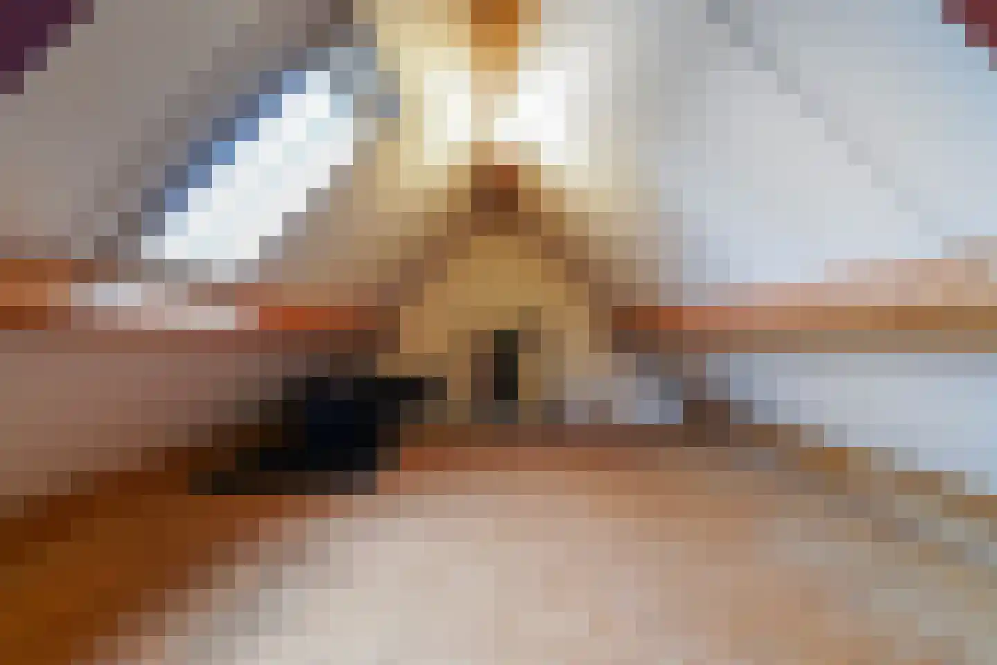 Draaiboom 2 Liempde thumbnail 45