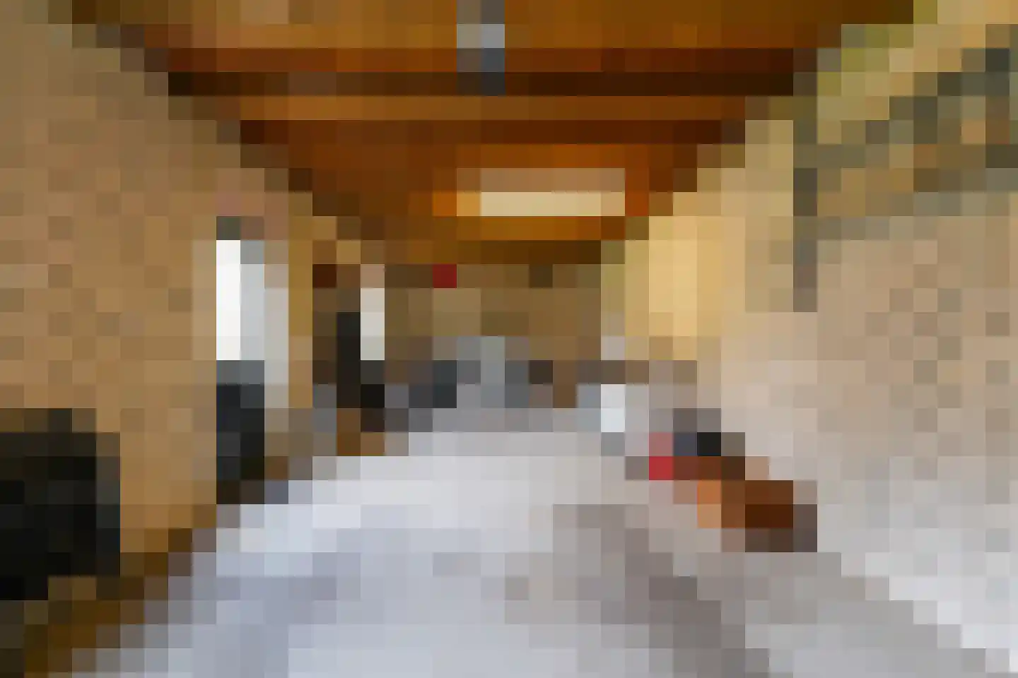 Draaiboom 2 Liempde thumbnail 48
