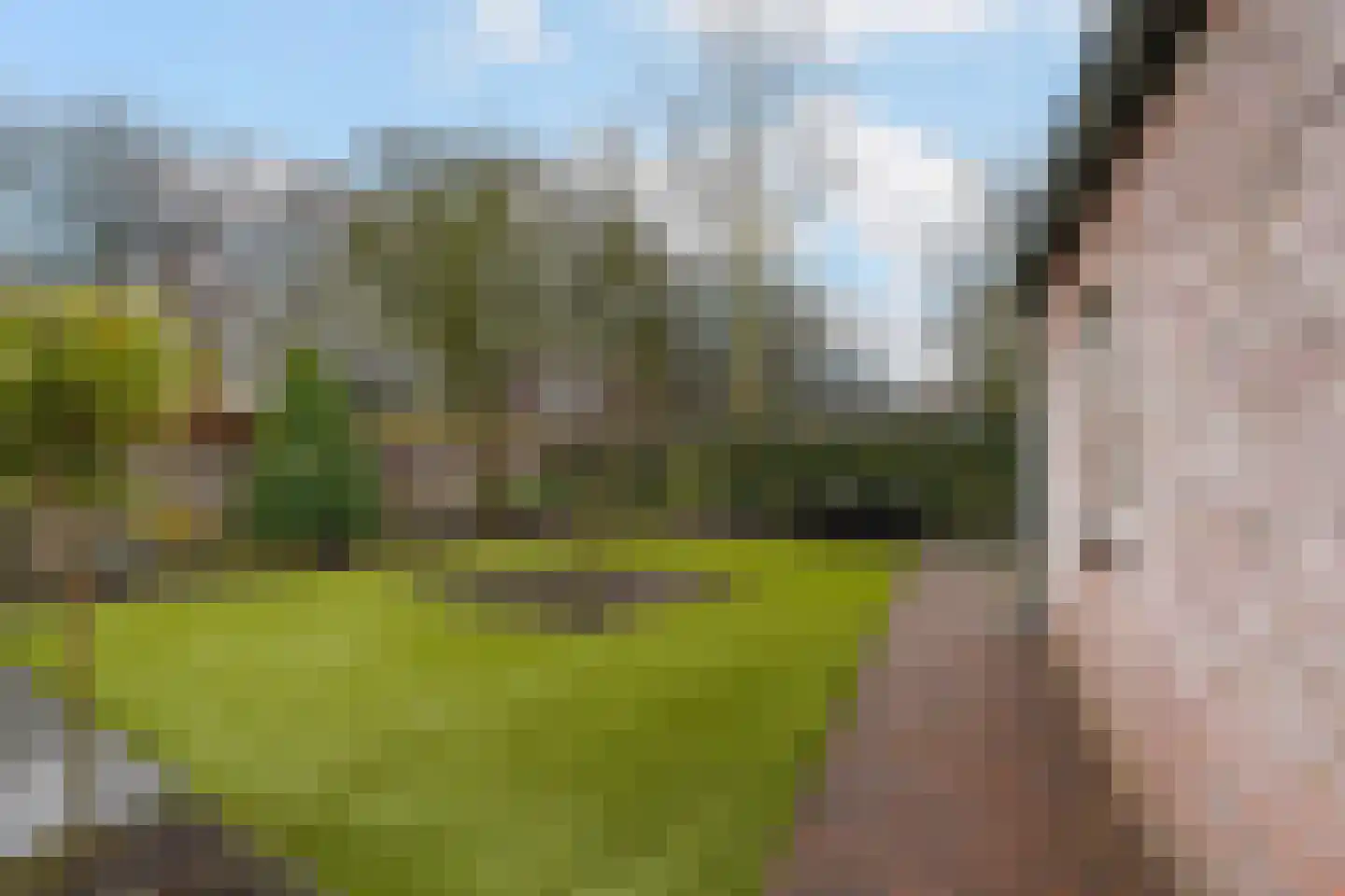 Draaiboom 2 Liempde thumbnail 51