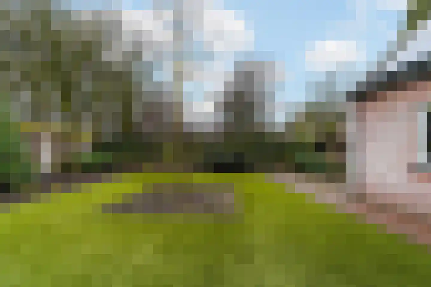 Draaiboom 2 Liempde thumbnail 52