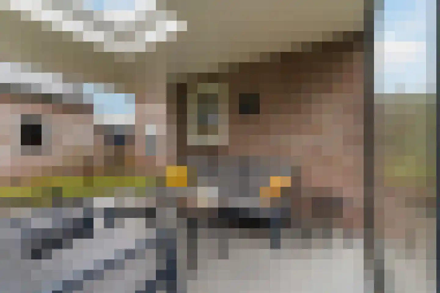 Draaiboom 2 Liempde thumbnail 60