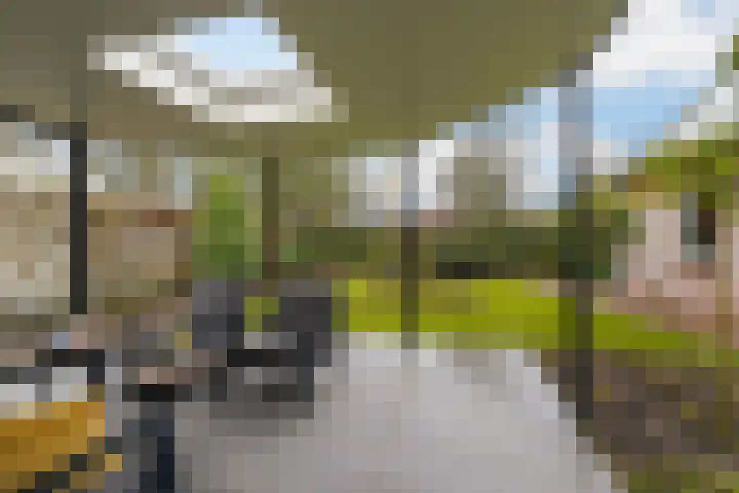 Draaiboom 2 Liempde thumbnail 61