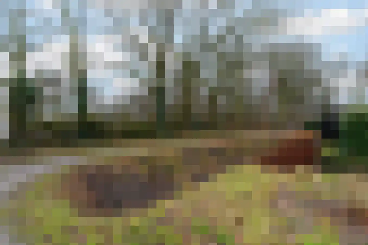 Draaiboom 2 Liempde thumbnail 64