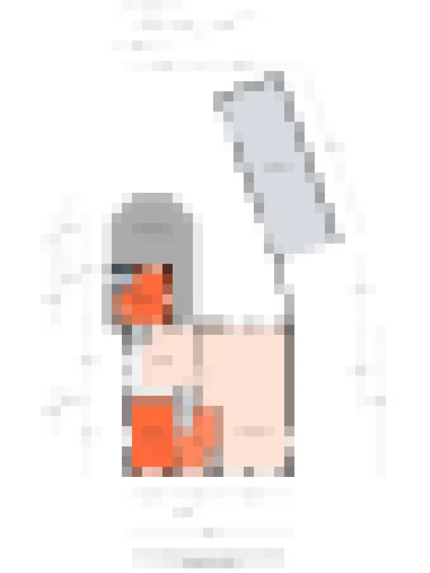 Draaiboom 2 Liempde thumbnail 65