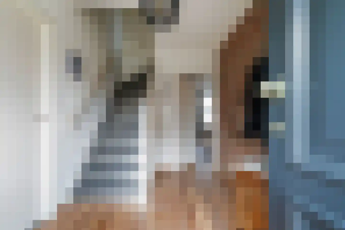 Draaiboom 2 Liempde thumbnail 7